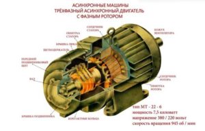 Строение асинхронного двигателя с фазным ротором